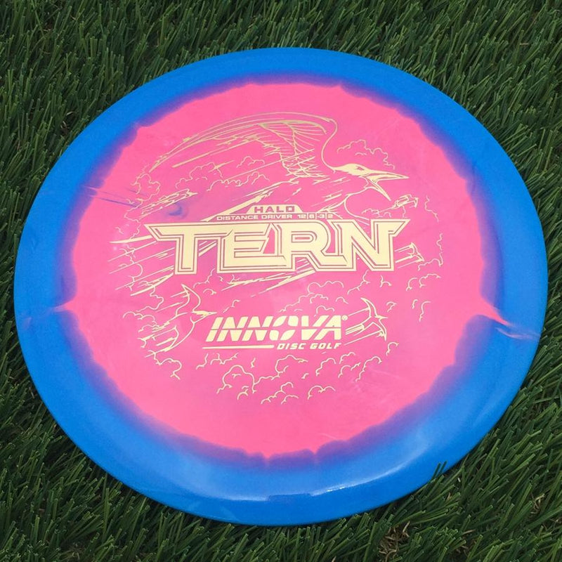 Innova Halo Star Tern with Burst Logo Stock Stamp- 165.93 Blue