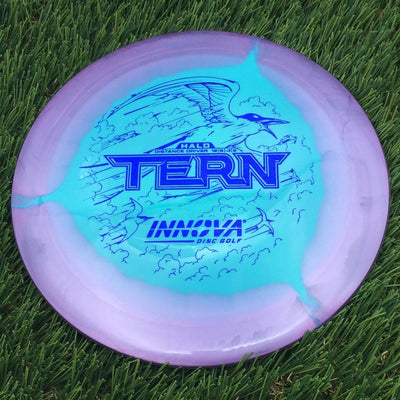 Innova Halo Star Tern with Burst Logo Stock Stamp- 158.67 Purple