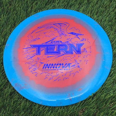 Innova Halo Star Tern with Burst Logo Stock Stamp- 148.99 Blue