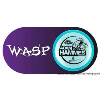 Discraft Metallic Z Wasp with Adam Hammes Tour Series 2021 Stamp